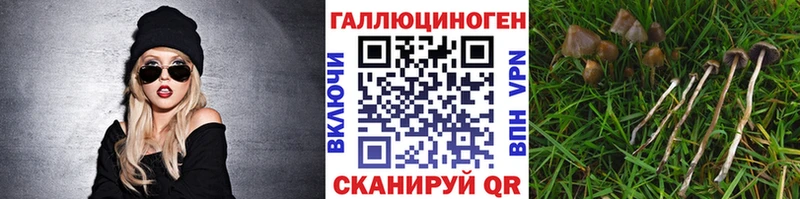 blacksprut ССЫЛКА  Бирюсинск  Галлюциногенные грибы прущие грибы 